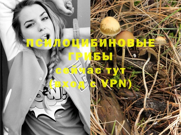 а пвп мука Балахна